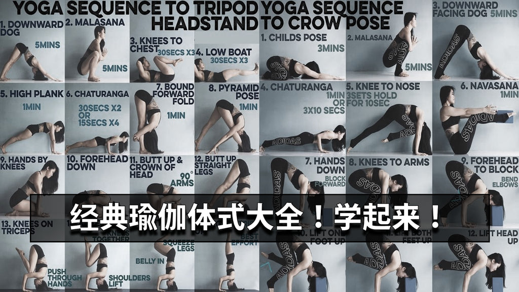 经典的瑜伽体式都在这里了,一看就懂,收藏后就可以经常练习了!