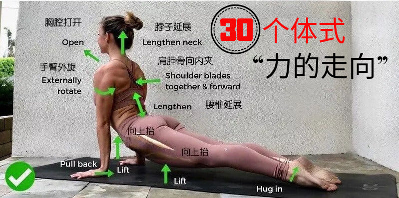 瑜伽初学者怎么正确习练瑜伽?很重要!(上)