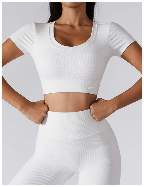 Ribbed Crop Top SS256