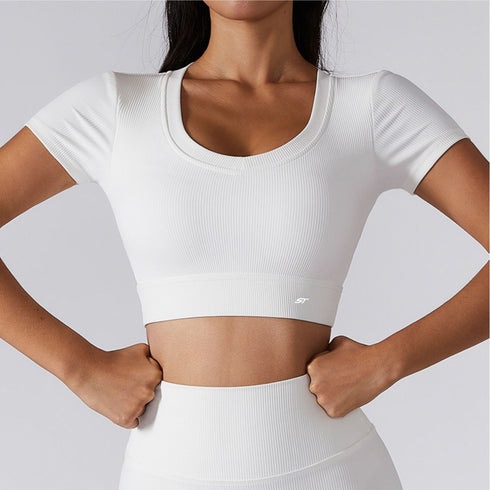 Ribbed Crop Top SS256
