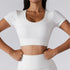 Ribbed Crop Top SS256