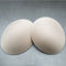 Sport Bra Pads SA011
